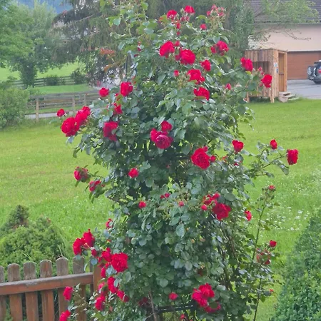 Thomalhof